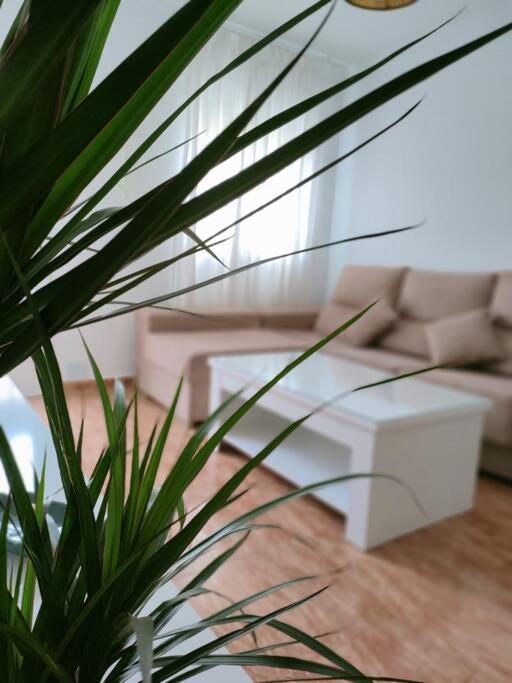 Casa En Hébergement de vacances *
